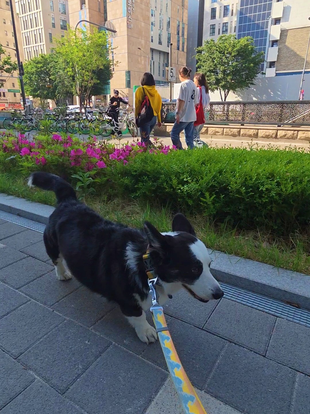 도심 적응 훈련